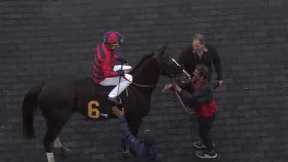 Gulfstream Park Replay Show | January 17, 2025