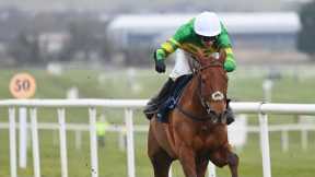Dinoblue denies stablemate Allegorie De Vassy in thrilling battle at Naas!