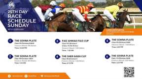 LRC Live  - 25th Day Lahore Winter Meeting 2024-2025 | Fabruary 16, 2025 #horse #race #horserace