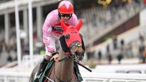 GO DANTE goes back to back in the Imperial Cup!