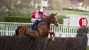 LECKY WATSON springs 20/1 surprise in Brown Advisory as BALLYBURN disappoints