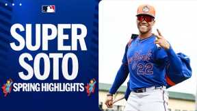 Juan Soto’s SUPER Spring! (Full Highlights)