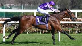 Derby contender? DELACROIX bolts up at Leopardstown | Racing TV