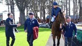 Back with a bang! HENRI MATISSE strikes for Aidan O'Brien at Leopardstown | Racing TV
