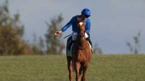 Wow! Desert Flower demolishes her Fillies' Mile rivals 😮