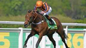 DANCING GEMINI stamps class at Sandown