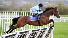 VALGRAND dazzles for team Skelton at Cheltenham