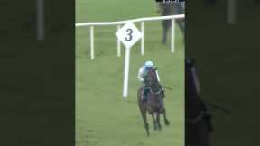 Horse jumps wrong obstacle 😂