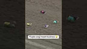 When Brad wanted all the smoke 😤 (via Canterbury Park Shakopee, MN)