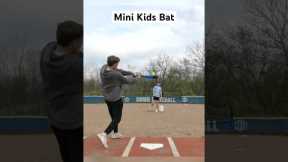 Can we hit a Home Run with a Mini Kids Bat?