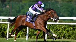 ITALY makes exciting debut for Aidan O'Brien at Leopardstown | Racing TV