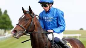 €2m Frankel colt TREANMOR stars on debut | Racing TV