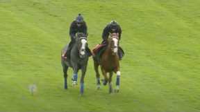 Betfred Derby 2025: contenders go through paces at Epsom | Racing TV