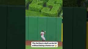 Andrew McCutchen was INCHES from a home run 🤯 #baseball #mlb