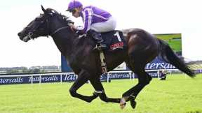 Wow! Top prospect ALBERT EINSTEIN remains unbeaten | Racing TV