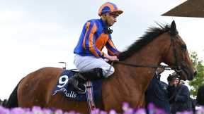 Top-class LAKE VICTORIA excels in Irish 1,000 Guineas | Racing TV