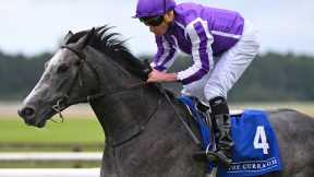€400,000 colt DORSET looks exciting for Aidan O'Brien | Racing TV