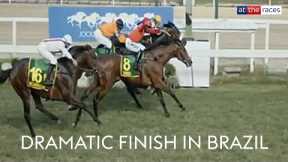 CRAZY FINISH TO HORSE RACE IN BRAZIL | Jockey nearly throws race away by celebrating early...
