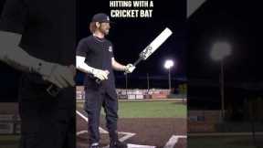 Can we hit a homer with a CRICKET BAT?