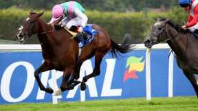 BLUE BOLT impresses at Sandown