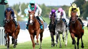 150/1 QIRAT produces biggest shock in British Flat racing history with Sussex Stakes triumph