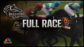 2025 Haskell Stakes (FULL RACE) | NBC Sports