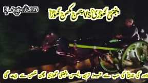 Queen Panjtani Ghori Vs Chan Makhan Horse Race 31 August 2025 || Tanga Race || #horse #horseriding 