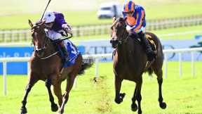 WOW! Power Blue defeats 1-4 favourite True Love in the Phoenix Stakes!