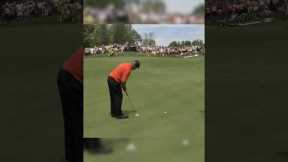 Craziest golf shot of all time!