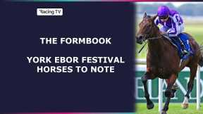 Eight horses to follow at the Ebor Festival | The Formbook | Racing TV