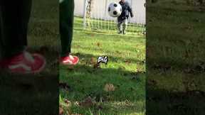 Funniest moments captured from around the world😆