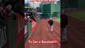 HOMEMADE MLB BASEBALL RETRIEVER ⚾️