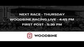 Woodbine Racetrack - Sunday, November 23, 2025
