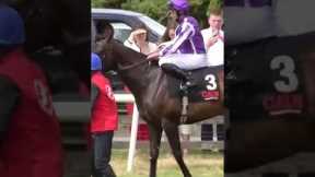 The horse who loves to misbehave!