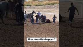 Horse Racing Accident at Sweetwater Downs Wyoming #wyoming Horses Race #horseracing Accidents Wrecks