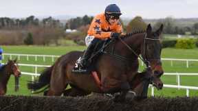 Final Demand produces sexy chasing debut at Navan | Racing TV