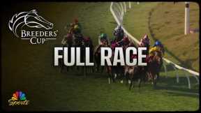 Breeders' Cup 2025: Mile (Full Race) | NBC Sports