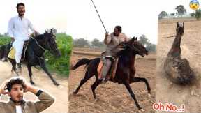 TIRAZ CHALLENGE HORSE RACING😱 GONE WRONG