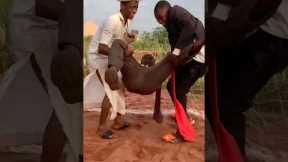 Funniest Soccer Moments Ever😂 | Crazy Football Fails & Comedy Highlights 🤣