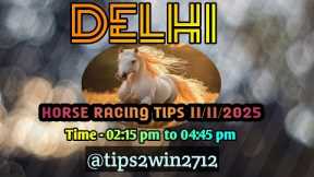 DELHI RACE TIPS 11-11-2025 | TIPS WITH ANALYSIS | FREE HORSE RACE TIPS | #delhiracetips