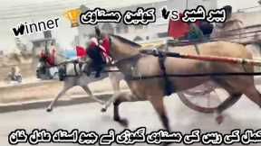Queen Mastavi vs Babar Sher Horse Race 30 November 2025 || Tanga Race  || #horse #horseriding 