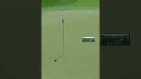 Insane Golf Shot With a Roaring Crowd AI #golf #golfshot