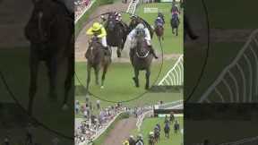 Controversy as dead-heat is overturned! #horseracing